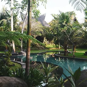 Tree House Ubud